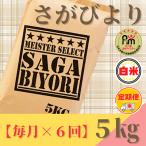 ショッピングふるさと納税 定期便 ふるさと納税 みやき町 【毎月定期便】さがびより白米5kg【五つ星お米マイスター厳選!】全6回_SS516