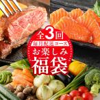 ふるさと納税 泉佐野市 【毎月定期便】泉佐野 お楽しみ福袋(牛肉 ステーキ 海鮮 サーモン 野菜)全3回 099Z158