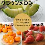 夏のフルーツ定期便 全3回