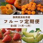 のフルーツ定期便 全4回