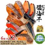 おばま醤油干全3回