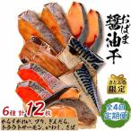 おばま醤油干全4回
