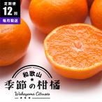 ふるさと納税 印南町 【発送月固定定期便】季節の柑橘定期便B【フルーツ定期便】【和歌山県有田】全12回