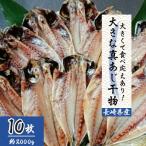 大きな真あじ干物 10枚