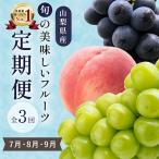 ふるさと納税 山梨市 【発送月固定定期便】山梨県産旬のおいしいフルーツ【桃・巨峰・シャインマスカット】定期便 全3回