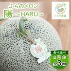 ふるさと納税 富良野市 【発送月固定定期便】食べ比べ!ふらのメロン「陽 〜HARU〜」大玉 1玉(赤肉) 富良野メロン全3回