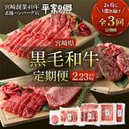 ふるさと納税 宮崎市 【2ヵ月毎定期便】宮崎県創業40年平家の郷 宮崎県黒毛和牛(合計2.23kg)全3回