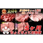 ふるさと納税 大垣市 【毎月定期便】A5飛騨牛 5ヵ月ちょこちょこお届け(焼肉・すき焼きほか)全5回