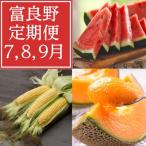 ふるさと納税 富良野市 【発送月固定定期便】富良野産 スイカ・メロン・トウモロコシ全3回
