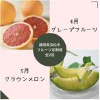 のフルーツ定期便 全2回