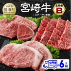 ふるさと納税 川南町 【毎月定期便】宮崎牛定期便B(ステーキ・焼肉)全6回