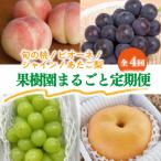 ふるさと納税 真庭市 【発送月固定定期便】食べきりサイズ! 桃と葡萄と梨が少しずつ届く!【お試し定期便】(岡山産)全4回