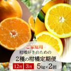 農家直送 ご 2種の柑橘定期便 みかん 八朔 各5kg