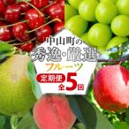 ショッピングふるさと納税 定期便 ふるさと納税 中山町 【発送月固定定期便】中山町の秀逸・厳選フルーツ定期便　全5回