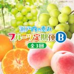 ふるさと納税 高松市 【発送月固定定期便】高松市自慢のフルーツ【B】全3回
