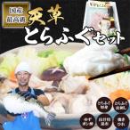 ふるさと納税 上天草市 【毎月定期便】【極上の逸品】ふぐの王様!とらふぐ 国産最高級!天草とらふぐセット全3回