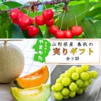 ふるさと納税 山形県 【発送月固定定期便】【令和7年発送】みちのく 夏秋“実り”ギフト定期便全3回
