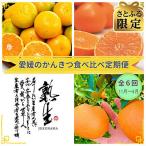 フルーツ食べ比べ全6回