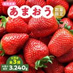 ふるさと納税 大野城市 【発送月固定定期便】福岡県産あまおう約270g×4パック全3回
