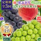 ふるさと納税 山梨市 【発送月固定定期便】【訳アリ】山梨の桃と黒ぶどう・シャインマスカット全3回