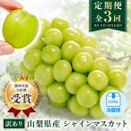 ふるさと納税 山梨市 【発送月固定定期便】【訳アリ】山梨のシャインマスカット2房1kg以上全3回