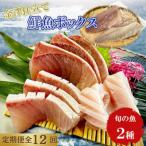 旬の魚 2種セット 全12回
