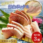 旬の魚 3種セット 全6回