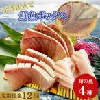 旬の魚 4種セット 全12回