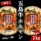 幻の五島牛ホルモン 味付き 500g×2