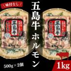幻の五島牛ホルモン 味付なし 500g×2
