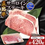 五島牛サーロインステーキ 210g×2枚全6回