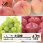 ふるさと納税 山辺町 【発送月固定定期便】フルーツ定期便 白桃 シャインマスカット サンふじ tf-ft3hbr全3回