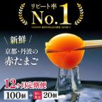 新鮮 丹波の赤たまご 100個