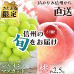 ふるさと納税 豊丘村 【発送月固定定期便】【さとふる限定】南信州で人気のフルーツ!!旬の桃とシャインマスカット全2回