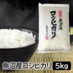 ふるさと納税 新潟県 【毎月定期便】お米マイスター厳選!魚沼産コシヒカリ5kg全6回