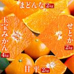 ショッピング甘平 ふるさと納税 八幡浜市 【発送月固定定期便】「蜜時(みつどき)便り」愛媛限定のまどんなや甘平も届きます【H64-92】全4回