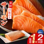 ふるさと納税 泉佐野市 【毎月定期便】サーモン ポーション 小分け 刺身用 訳あり サイズ不揃い 1kg×全2回
