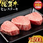 佐賀牛ヒレステーキ 500g