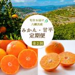 ショッピング甘平 ふるさと納税 八幡浜市 【発送月固定定期便】愛媛みかん大玉8kg(訳)×甘平3kg(訳)【G25-258】全2回