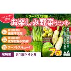 ふるさと納税 下妻市 【毎月定期便】お楽しみ★農園自慢の情熱野菜セット7袋　フードロス対策　訳あり　規格外全4回