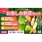 ふるさと納税 下妻市 【毎月定期便】お楽しみ★農園自慢の情熱野菜セット7袋　フードロス対策　訳あり　規格外全12回
