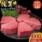 佐賀牛シャトーブリアン1kgコース 全5回