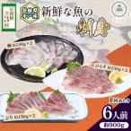 新鮮な魚 お刺身~ひらす 鯛 ぶり~ 6人前