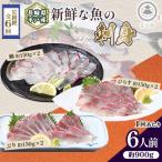 新鮮な魚 お刺身~ひらす 鯛 ぶり~ 6人前