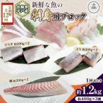 新鮮な魚 刺身用 ブロック 3種