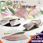新鮮な魚 刺身用 ブロック 3種