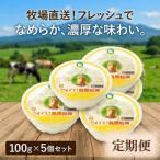 くずまき高原牧場 クリームチーズ 100g×5個セット全2回