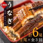 大型サイズ ふっくら柔らか うなぎ蒲焼き