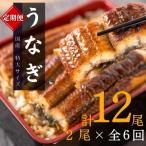 大型サイズ ふっくら柔らか うなぎ蒲焼き