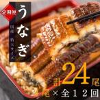 大型サイズ ふっくら柔らか うなぎ蒲焼き